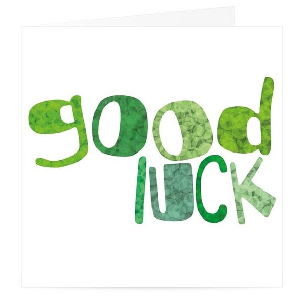 2 Orchid Plant Potted Buy Orchids in Dubai UAE Gifts